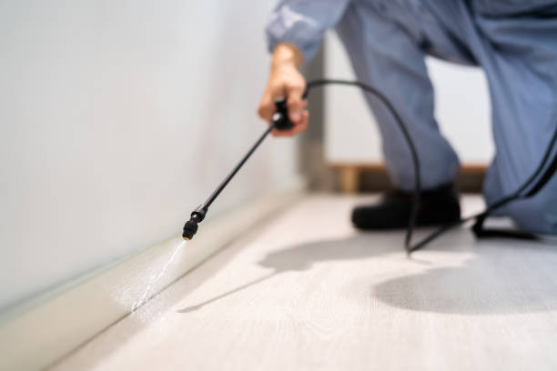 Rodent Entry Point Assessment in Mountain Home AFB
