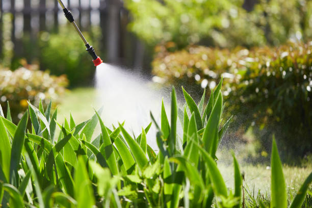 Tamper-Resistant Bait Stations for Rodents in Mountain Home AFB