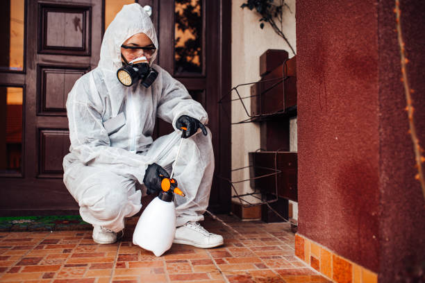 Attic and Crawl Space Rodent Treatment in Mountain Home AFB