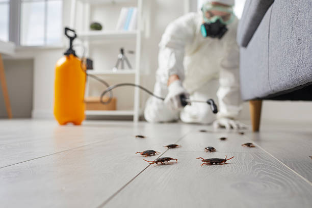 Commercial Rodent Management in Mountain Home AFB